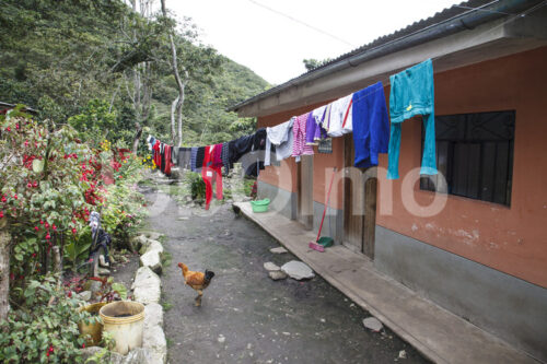 Wohnhaus einer Kaffeebauernfamilie (Peru, COCLA) - lobOlmo Fair-Trade-Fotoarchiv