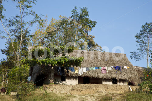 Wohnhaus einer Kakaobauernfamilie (Belize, TCGA) - lobOlmo Fair-Trade-Fotoarchiv