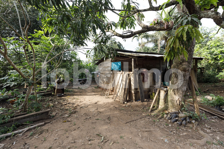 Wohnhaus einer Kakaobauernfamilie (Bolivien, EL CEIBO) - lobOlmo Fair-Trade-Fotoarchiv