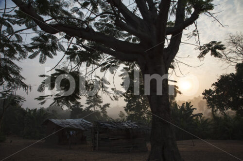 Wohnhaus einer Kakaobauernfamilie (Ghana, Kuapa Kokoo) - lobOlmo Fair-Trade-Fotoarchiv