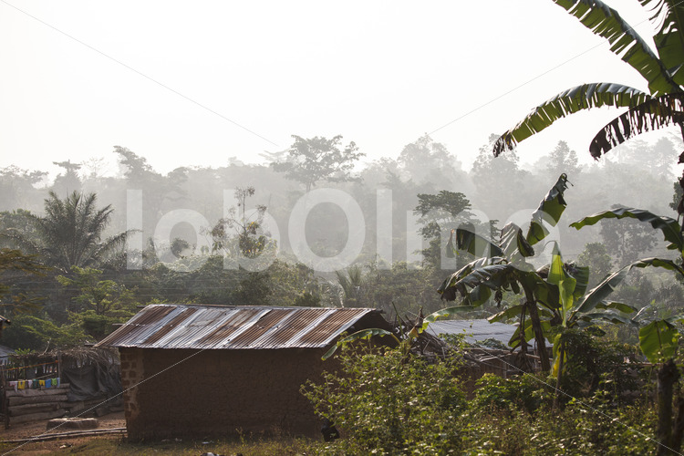 Wohnhaus einer Kakaobauernfamilie (Ghana, Kuapa Kokoo) - lobOlmo Fair-Trade-Fotoarchiv