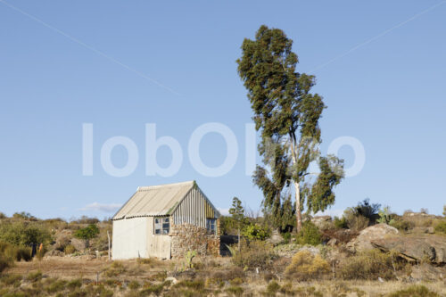 Wohnhaus einer Rooibos-Teebauernfamilie (Südafrika, Heiveld) - lobOlmo Fair-Trade-Fotoarchiv