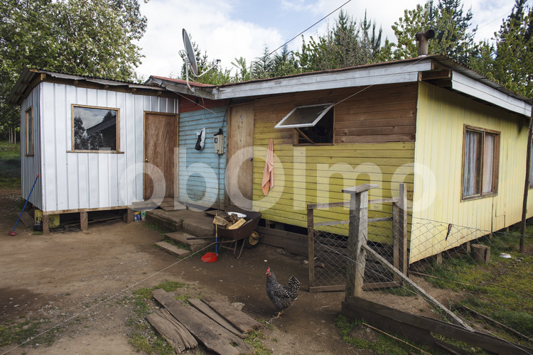 Wohnhaus einer Weberin (Chile, Chol-Chol) - lobOlmo Fair-Trade-Fotoarchiv