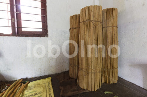 Zimtquills (Sri Lanka, SOFA/BioFoods) - lobOlmo Fair-Trade-Fotoarchiv